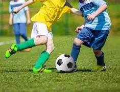 姚明寄语中,国篮球,央视聚焦杨,MILAN,Sports,米兰体育,体育直播,体育赛事,APP下载,官方网地址