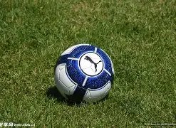 米兰体育,产品,MILAN,MILAN,Sports,米兰体育,体育直播,体育赛事,APP下载,官方网地址