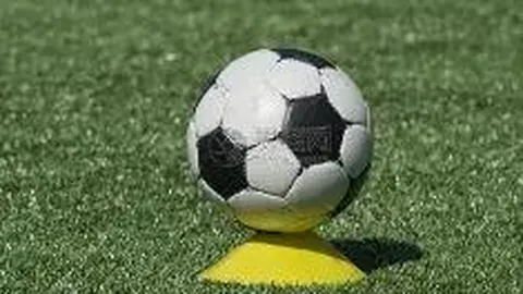 娱乐圈揭秘：陪玩陪睡频现，乱象迭起引公众热议