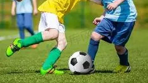 米兰体育 产品 135318 dgp