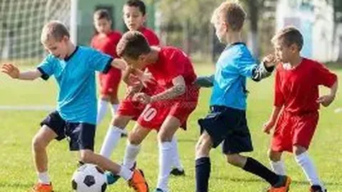 米兰体育 产品 135423 sdx