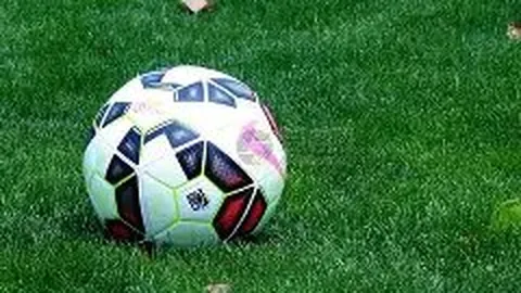 米兰体育 资讯 140516 rjo