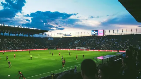 米兰体育 产品 105342 pwm