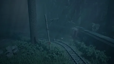 “欢乐呈现华夏之光：王昶、黄雅琼全力以赴乐在其中”